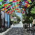 Kites of Calle Jose del Carmen Ariza Puerto Playta